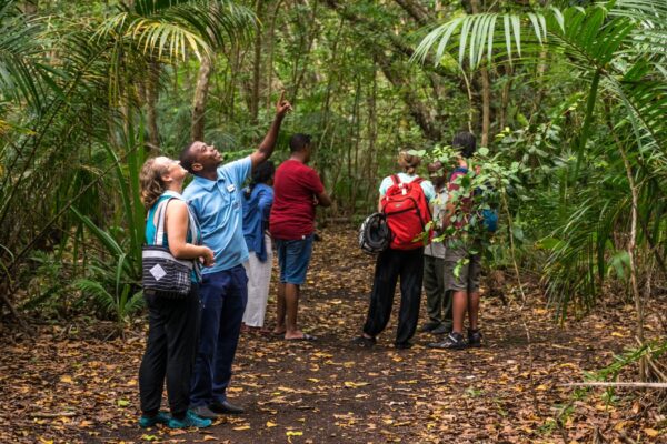 Jozani Forest & Muyuni Village Tour