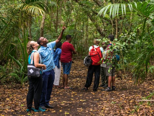 Jozani Forest & Muyuni Village Tour