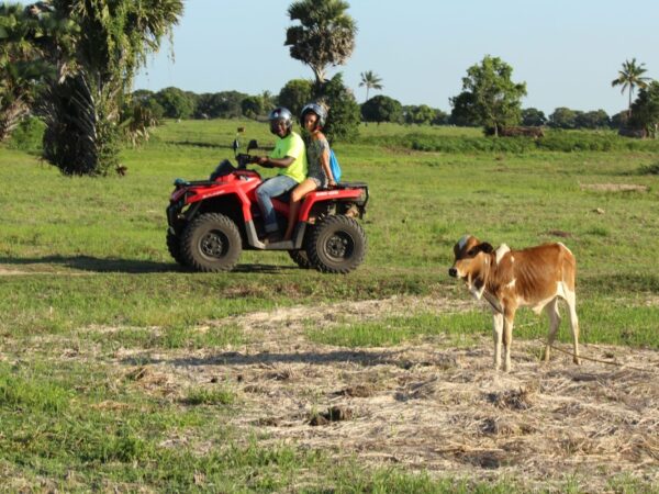 Zanzibar Quad Bike Tour