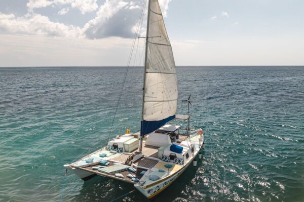 Zanzibar Catamaran & Snorkeling Tour to Mnemba Marine Park