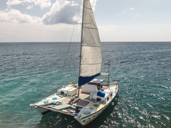 Zanzibar Catamaran & Snorkeling Tour to Mnemba Marine Park